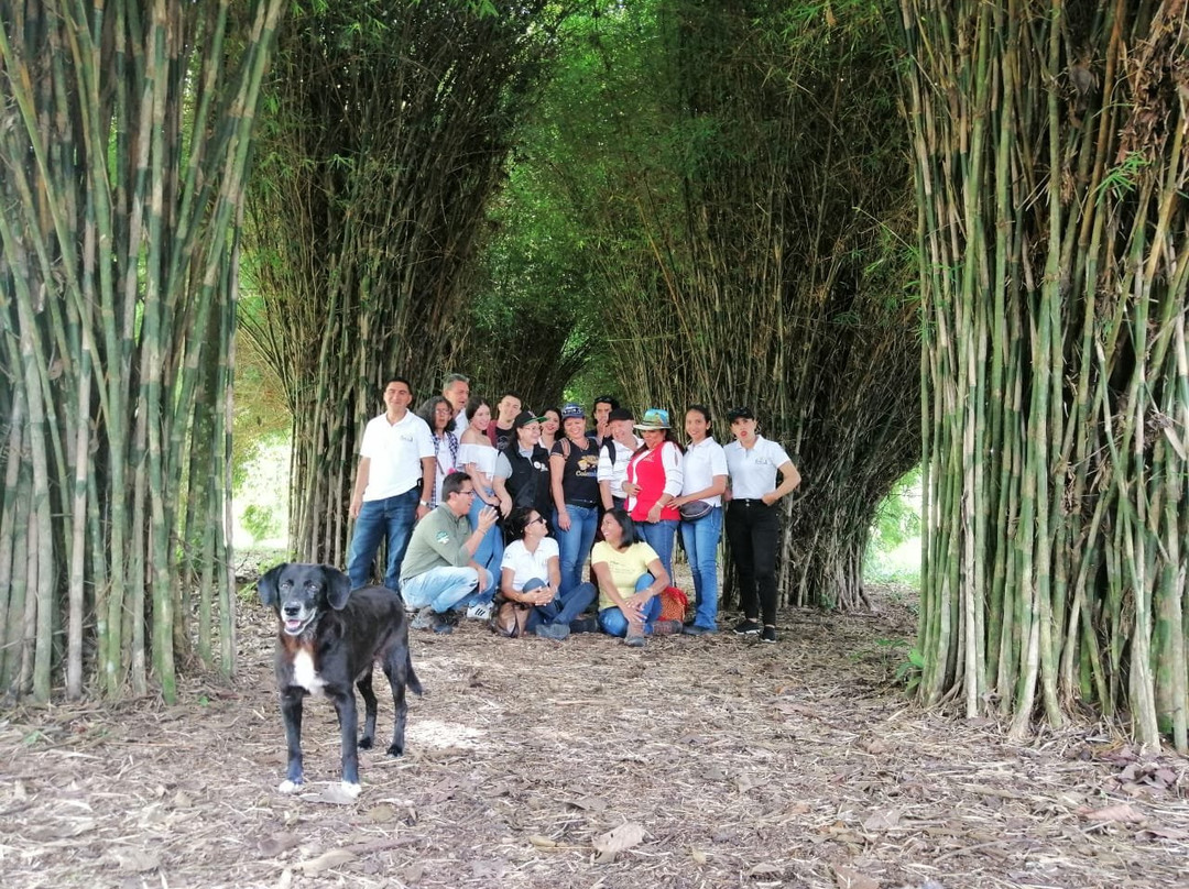 El Paraiso del Bambu y La Guadua-Montenegro必去景点