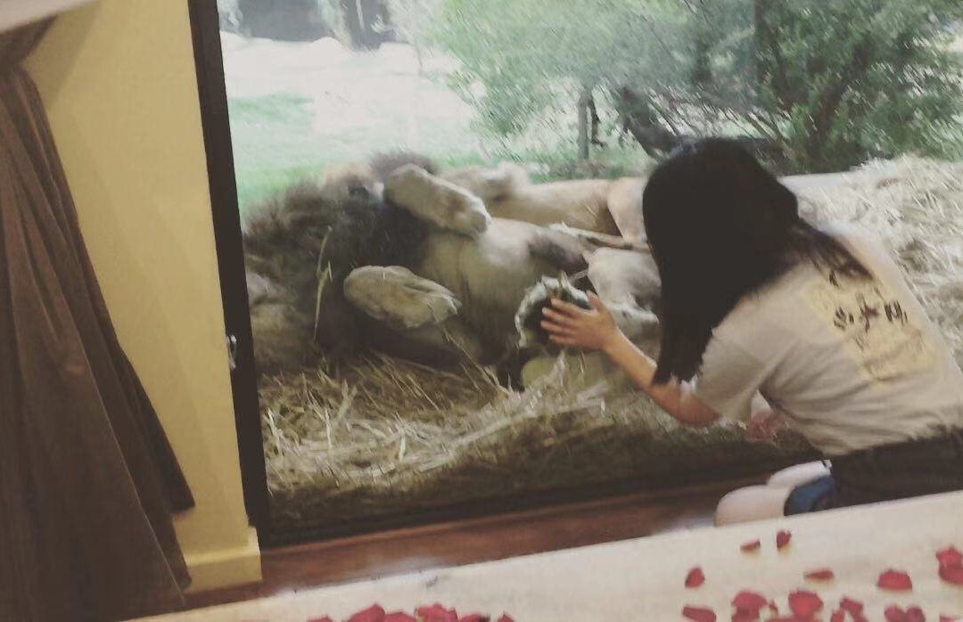 贾马拉野生动物山林小屋主图