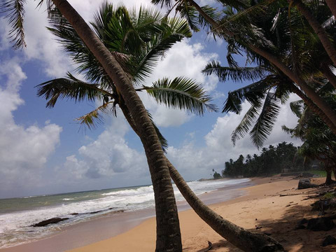 Heritage Lanka Tours-尼甘布必去景点