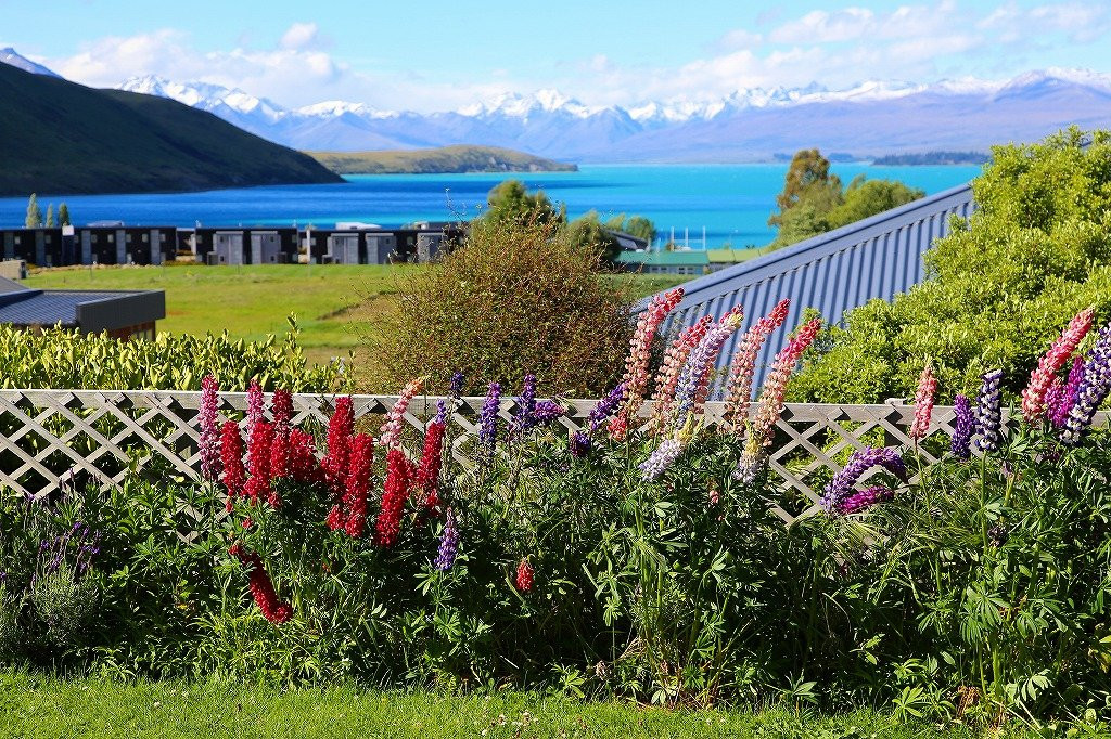 蒂卡波高地主图
