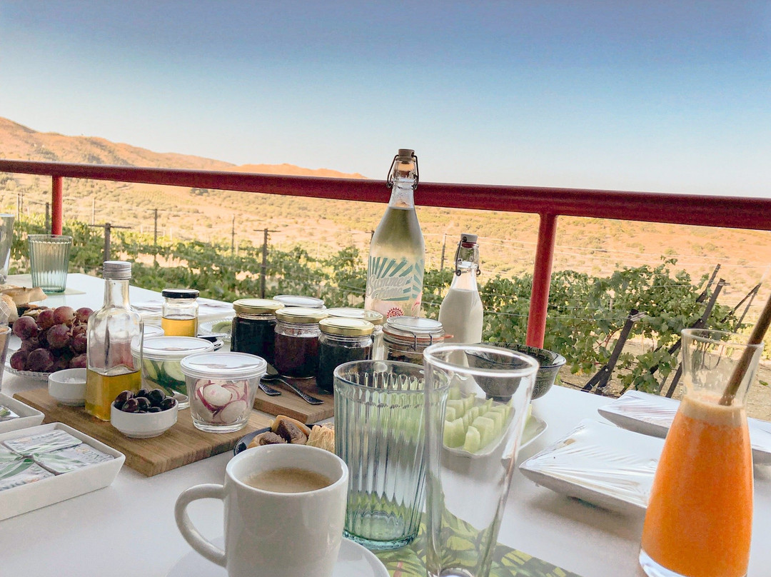 The Boomerang House Bed And Breakfast主图