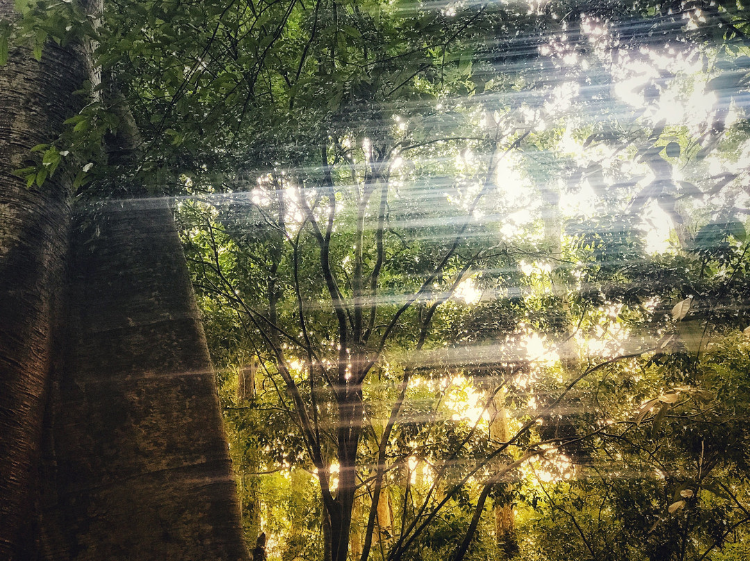 Cat Tien Bridge Homestay主图