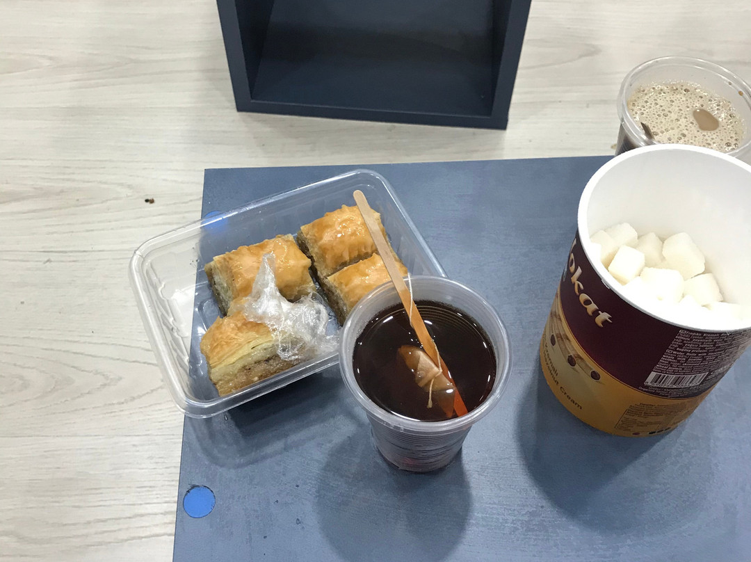 Istanbul Segway Tours-伊斯坦布尔必去景点