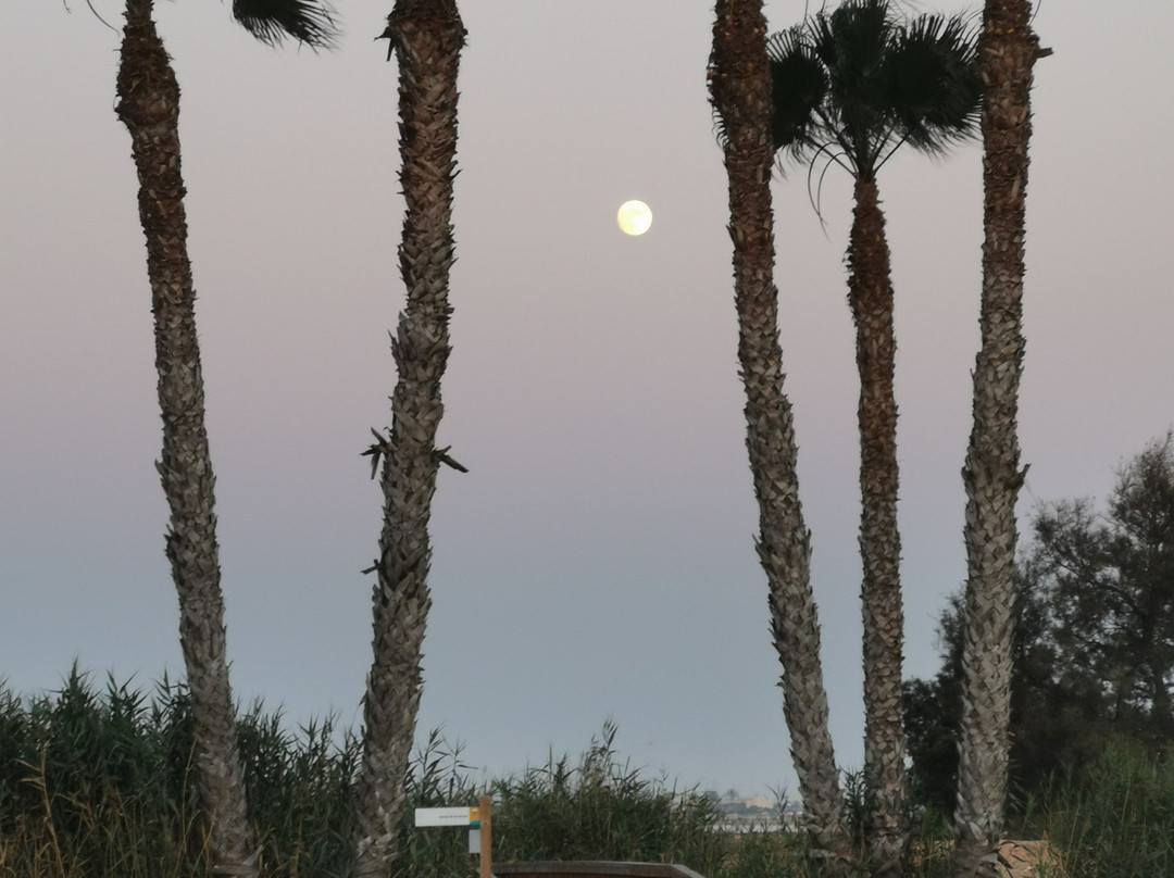 Las Charcas Mud Baths-Lo Pagán必去景点