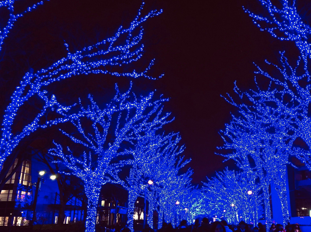 Blue Cave景点图片