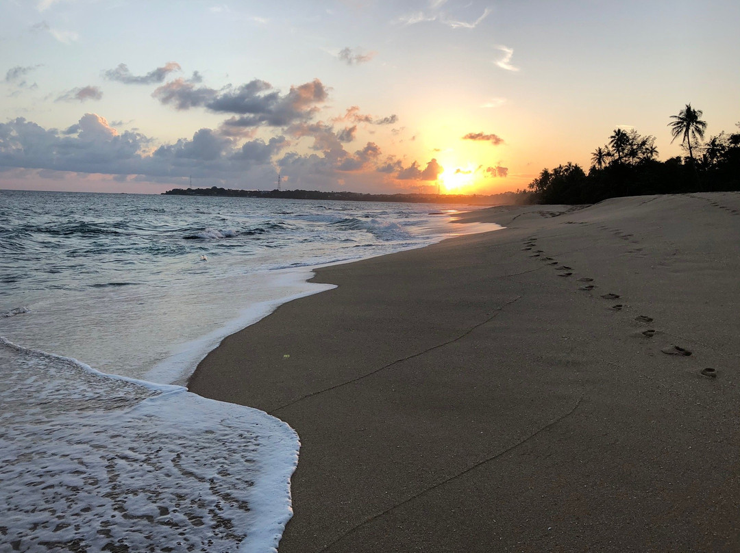 Marakolliya Beach景点图片