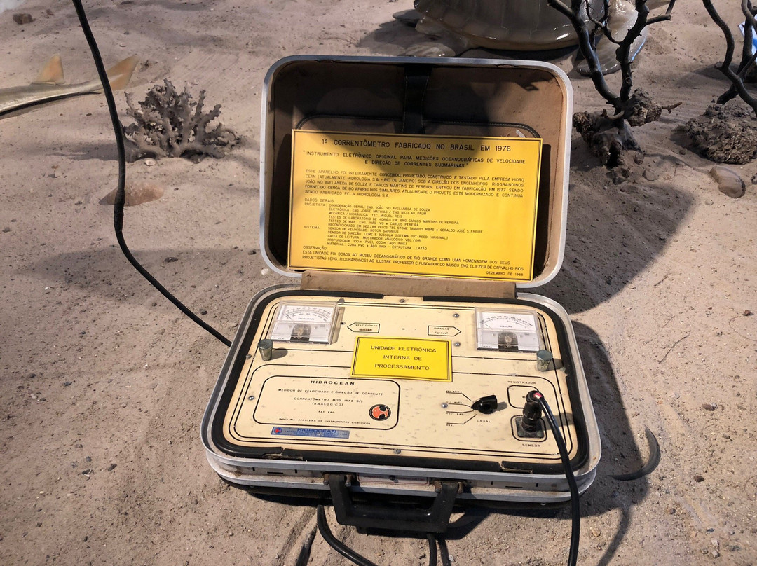 Museu Oceanográfico Eliézer de C. Rios-Rio Grande必去景点