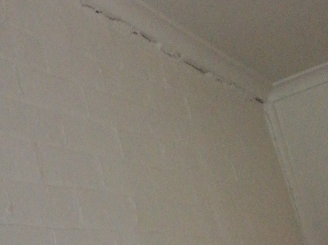 Gardenview Lodge Motel主图