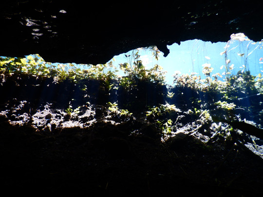 Planet Scuba Mexico-阿范特拉斯港必去景点