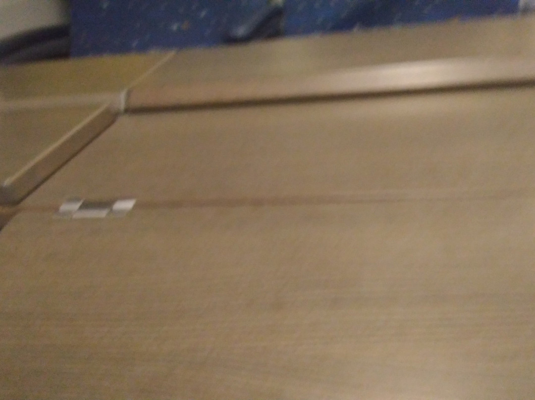 High Speed Train Strizh景点图片