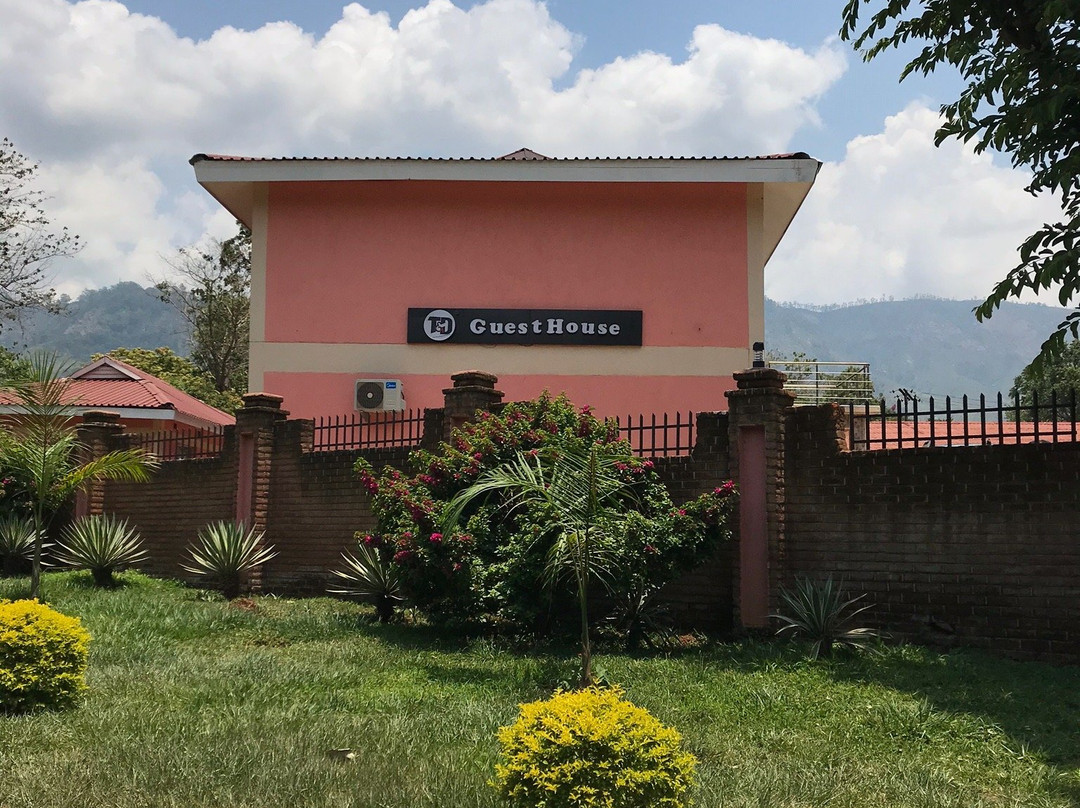 T & D Guesthouse