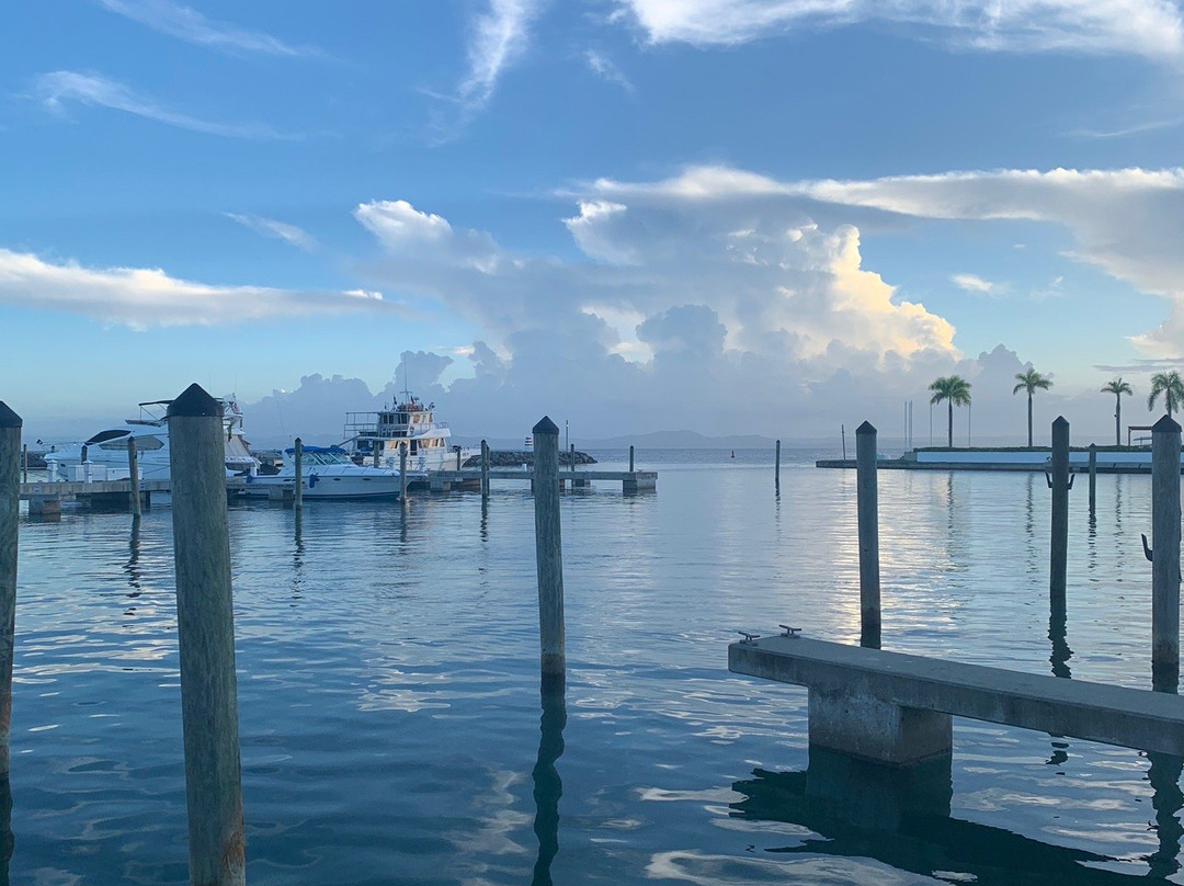 Marina Puerto Bahia-Santa Barbara de Samana必去景点