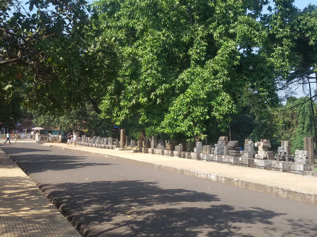 The Archaeological Museum, Old Goa景点图片