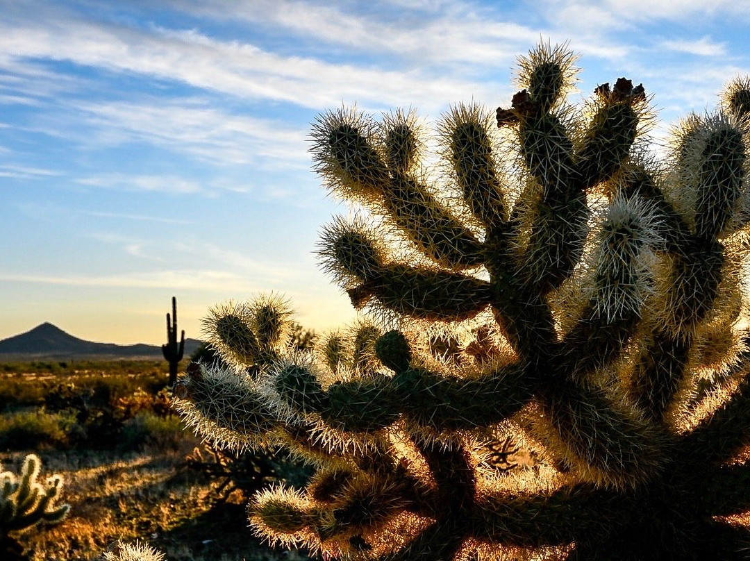 Journey Rides-斯廷博特斯普林斯必去景点