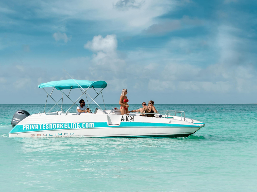 Private Snorkeling Aruba-棕榈/鹰海滩必去景点