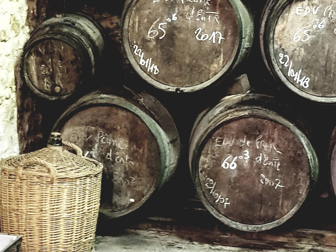 Perigourmet Gastronomic Tour Company-萨尔拉必去景点