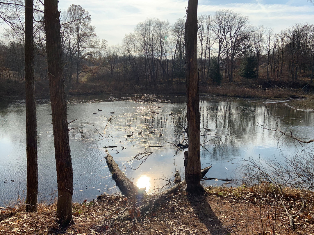 Virginia Kendall Park-Brecksville必去景点