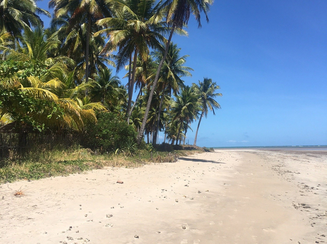 Bitingui Beach-Japaratinga必去景点
