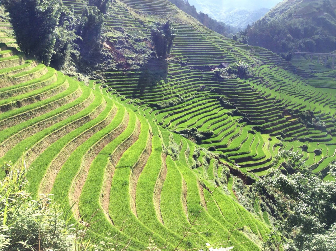 La Pan Tan-Mu Cang Chai必去景点