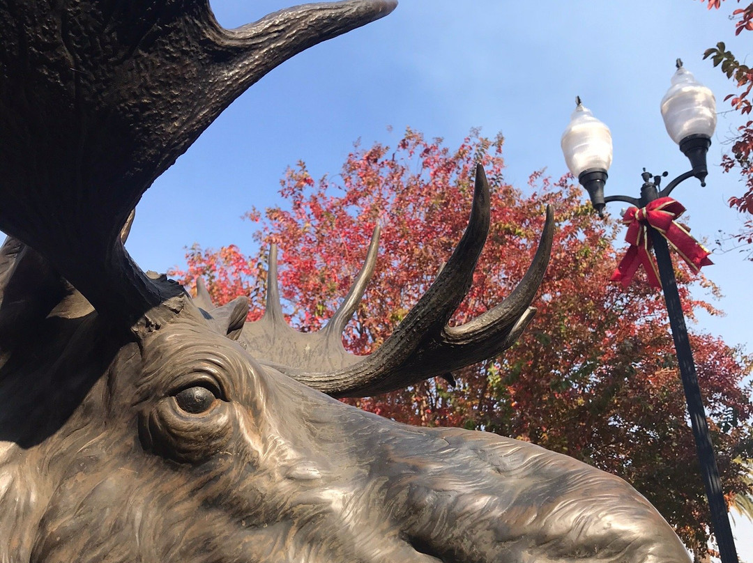Fountains at Roseville-罗斯维尔必去景点