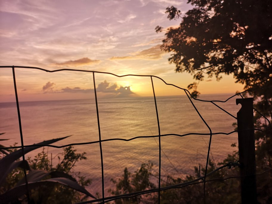 The Tamarind Tree Hotel & Restaurant主图