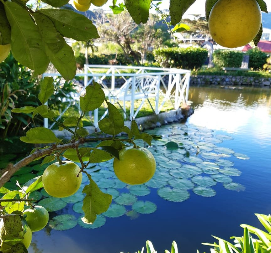 El Oasis Hotel & Restaurant主图