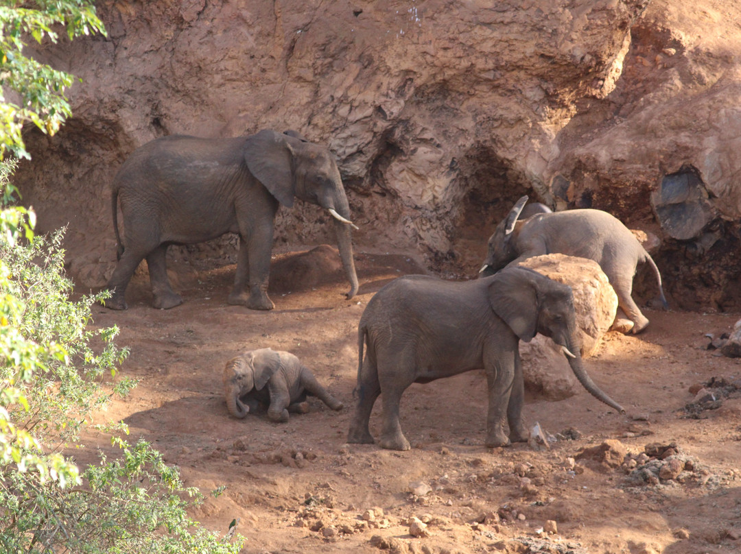 Elephant Caves-卡拉图必去景点