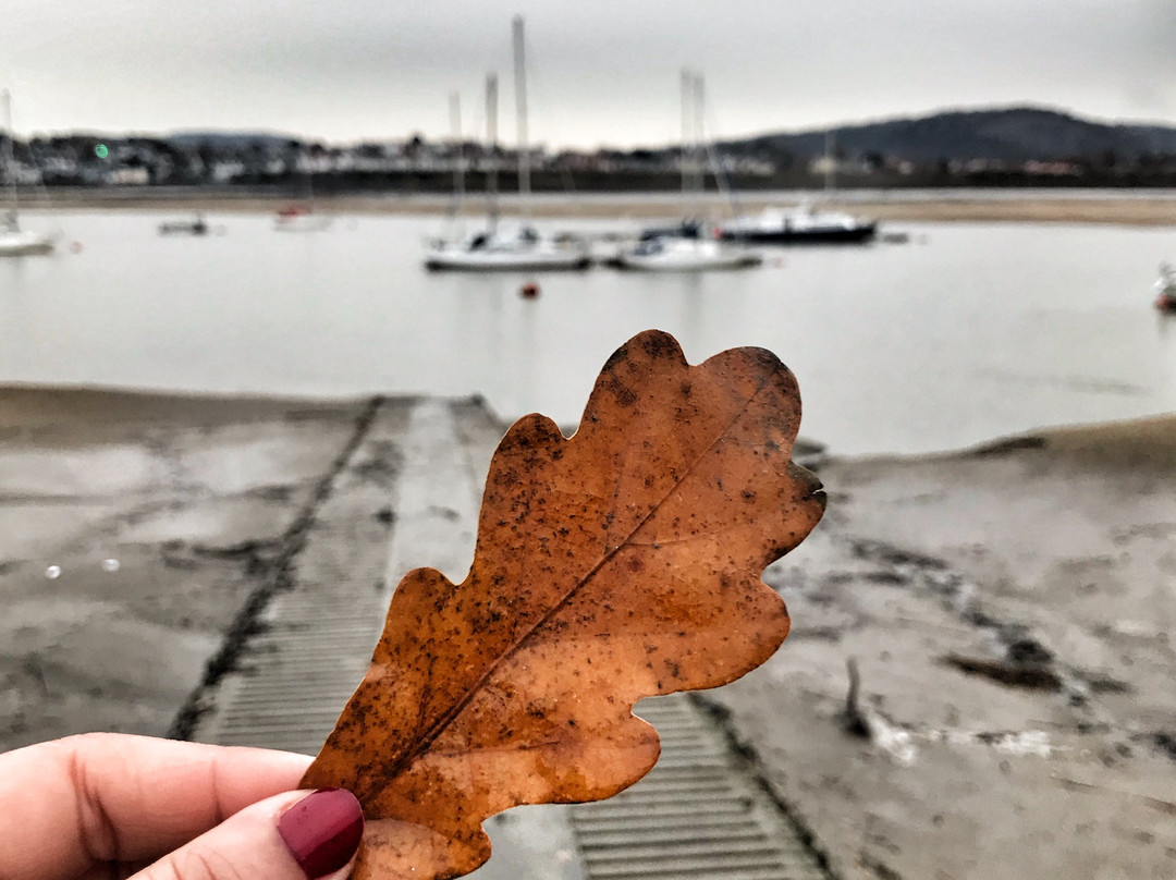 Busy Bus Shuttle and Tour Service-Laurieton必去景点