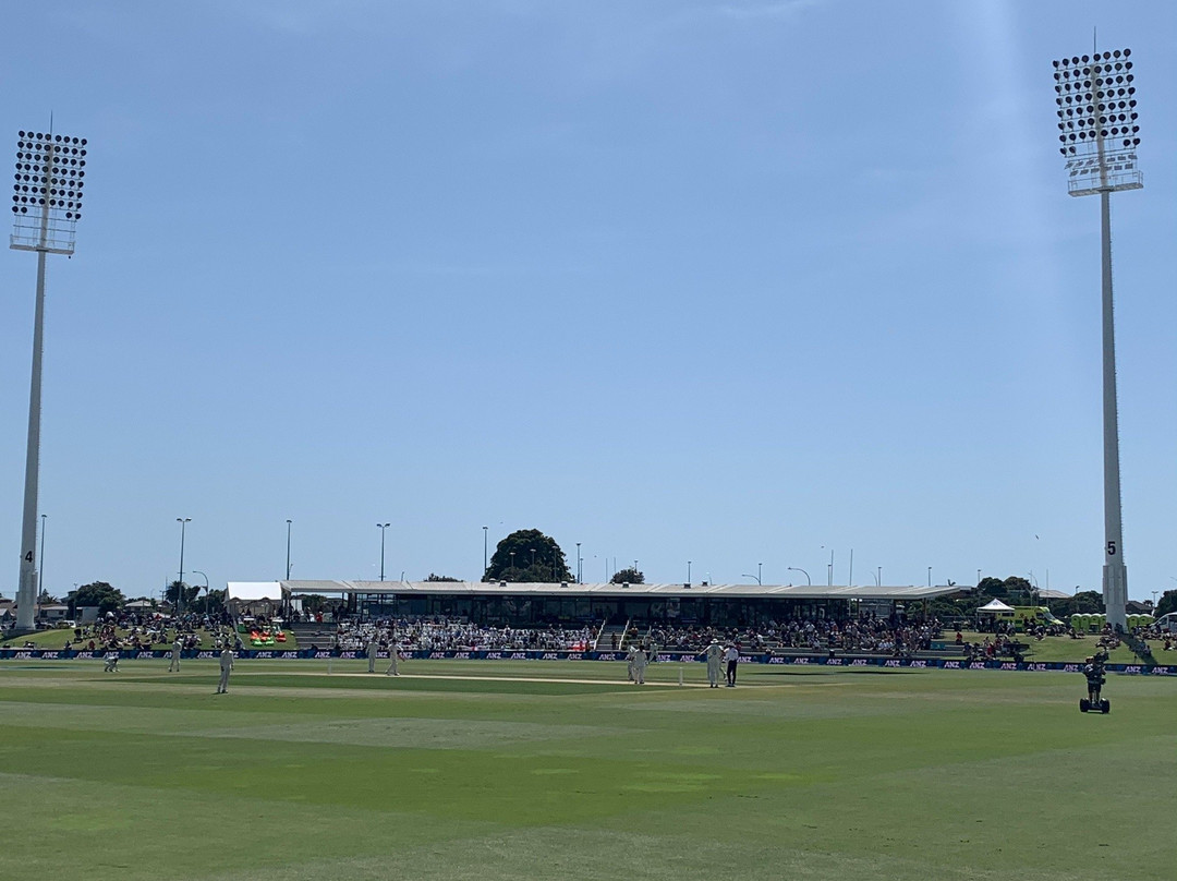 Bay Oval Cricket Ground景点图片