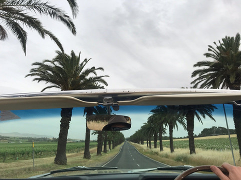 Barossa Unique Tours-努里乌特帕必去景点