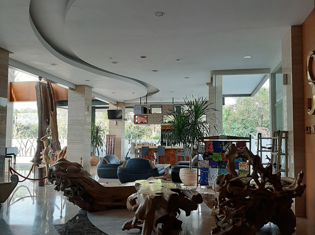 The Safin Hotel Pati主图