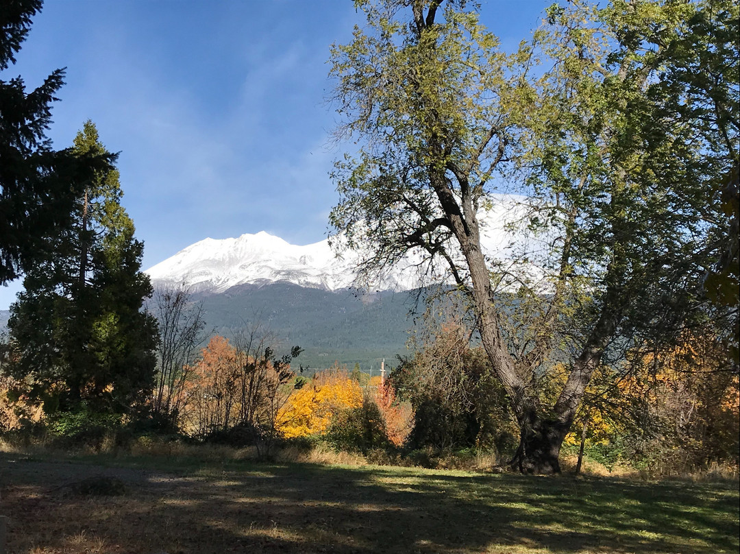 Mt. Shasta Sisson Museum景点图片