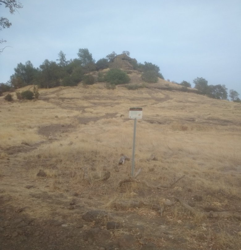 比德韦尔公园-奇科必去景点