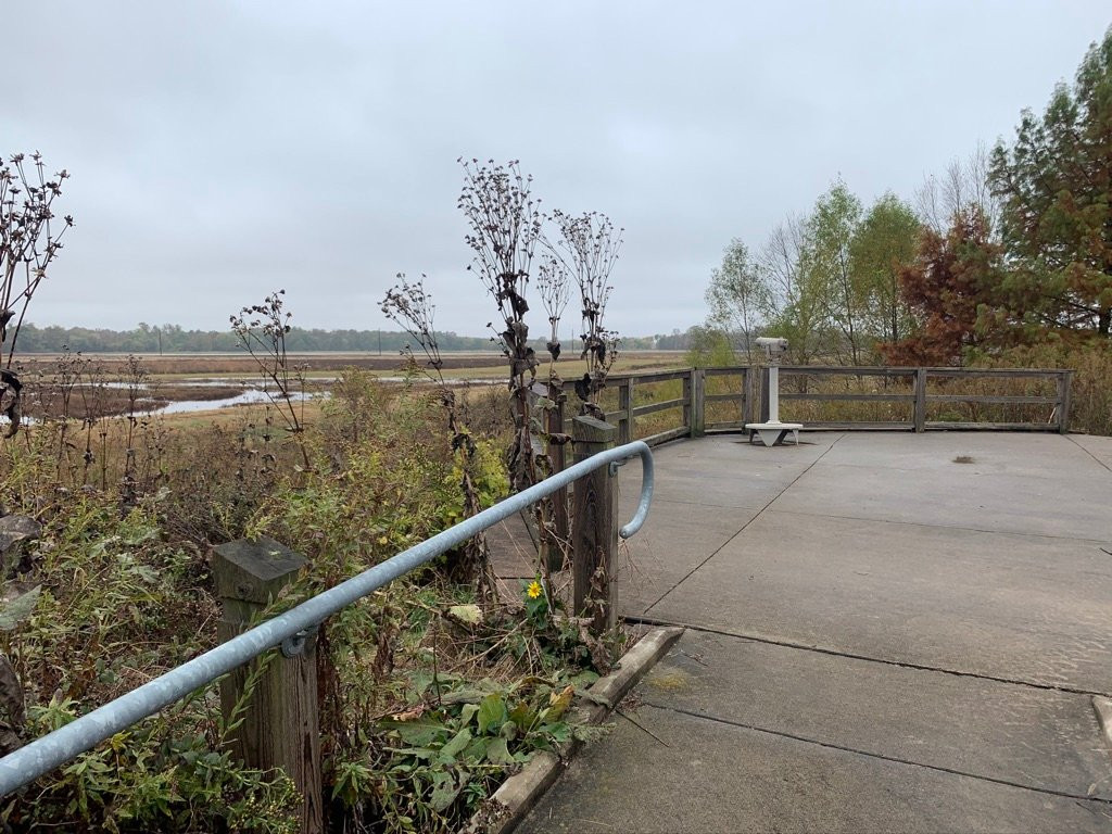 Bellrose Waterfowl Reserve景点图片