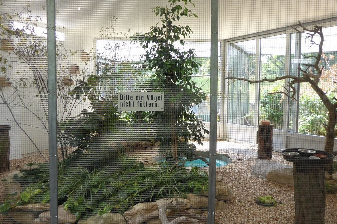 Stadt Park-美因茨必去景点