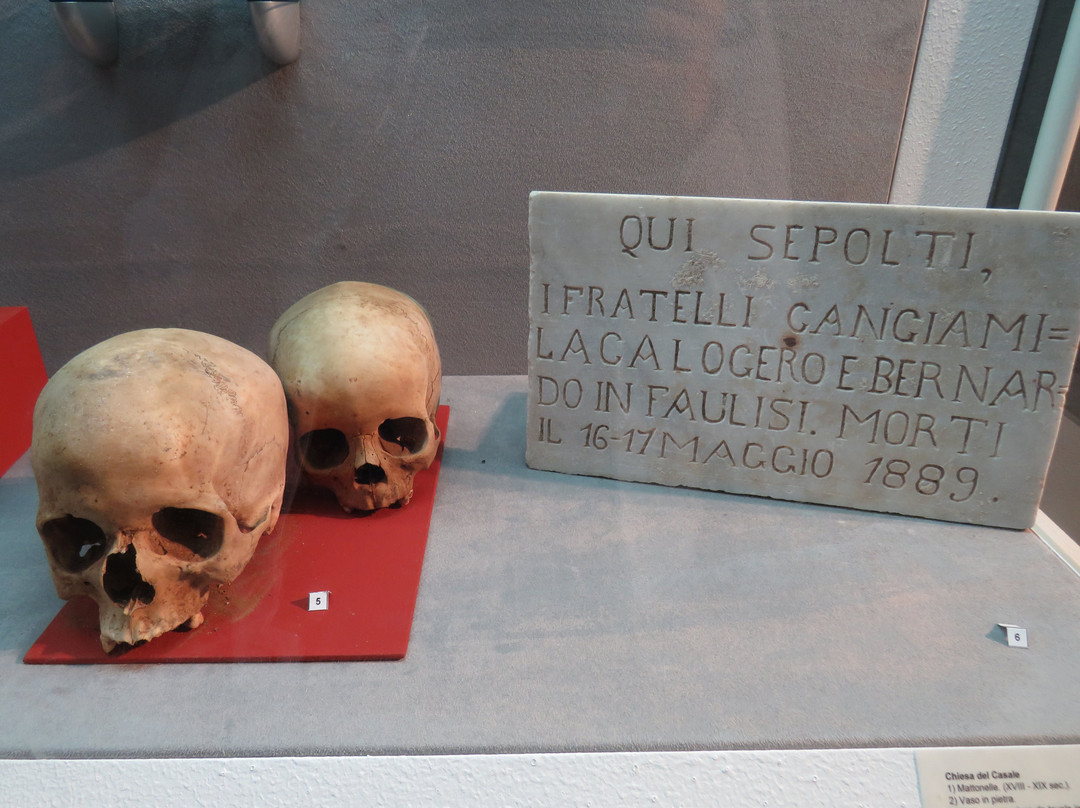 Museo Civico "Don G. Guarnieri"景点图片