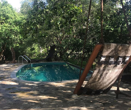 Leopard Safaris Yala主图