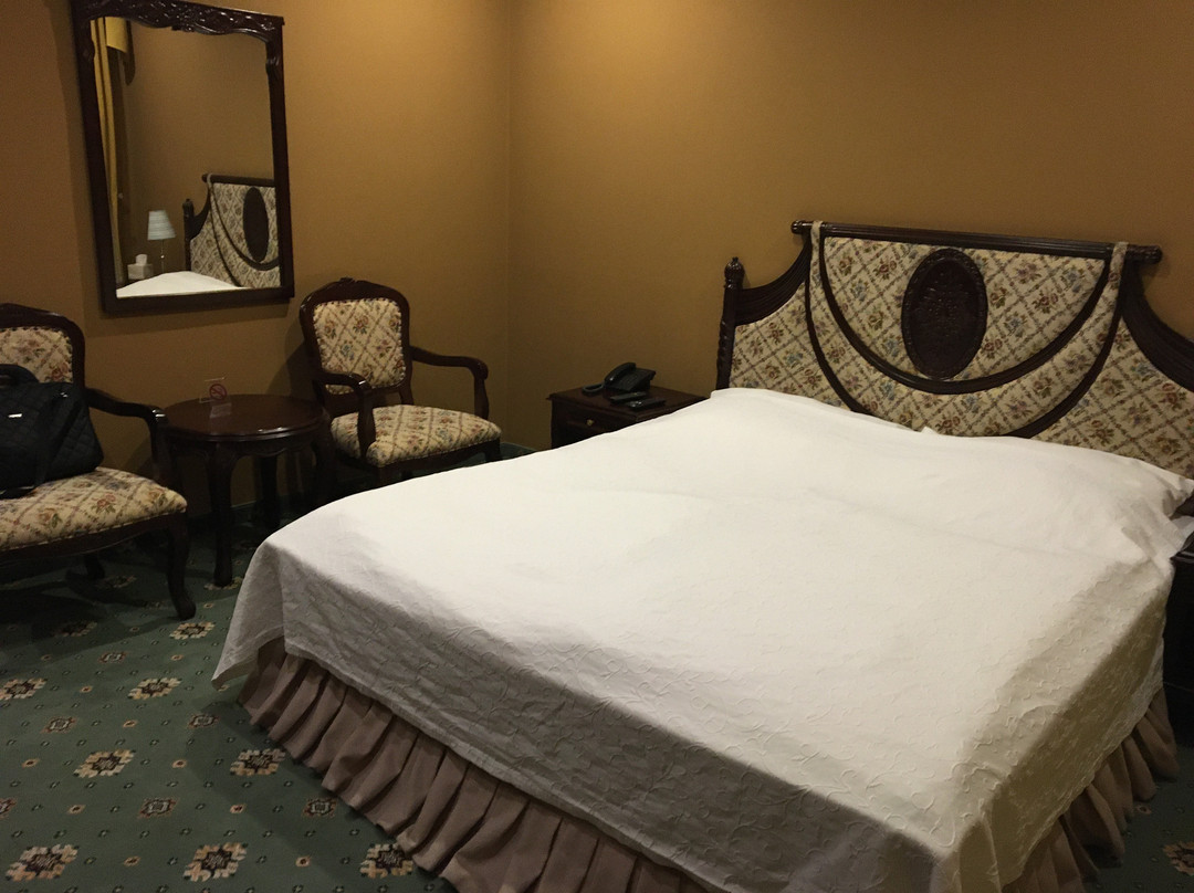 Hotel Alexander's主图