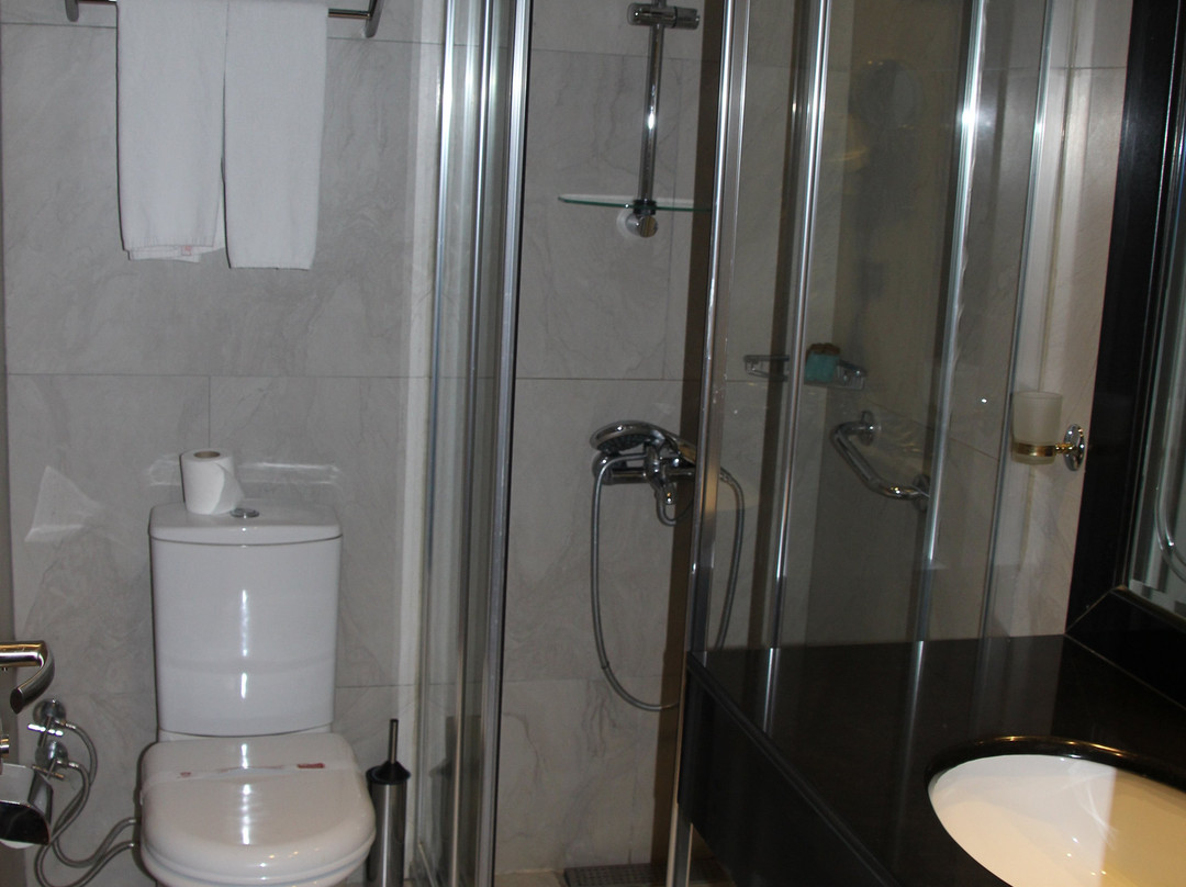 Diyarbakir Prestige Hotel主图