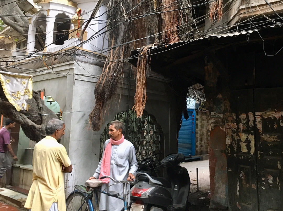 City On Pedals-阿姆利则必去景点