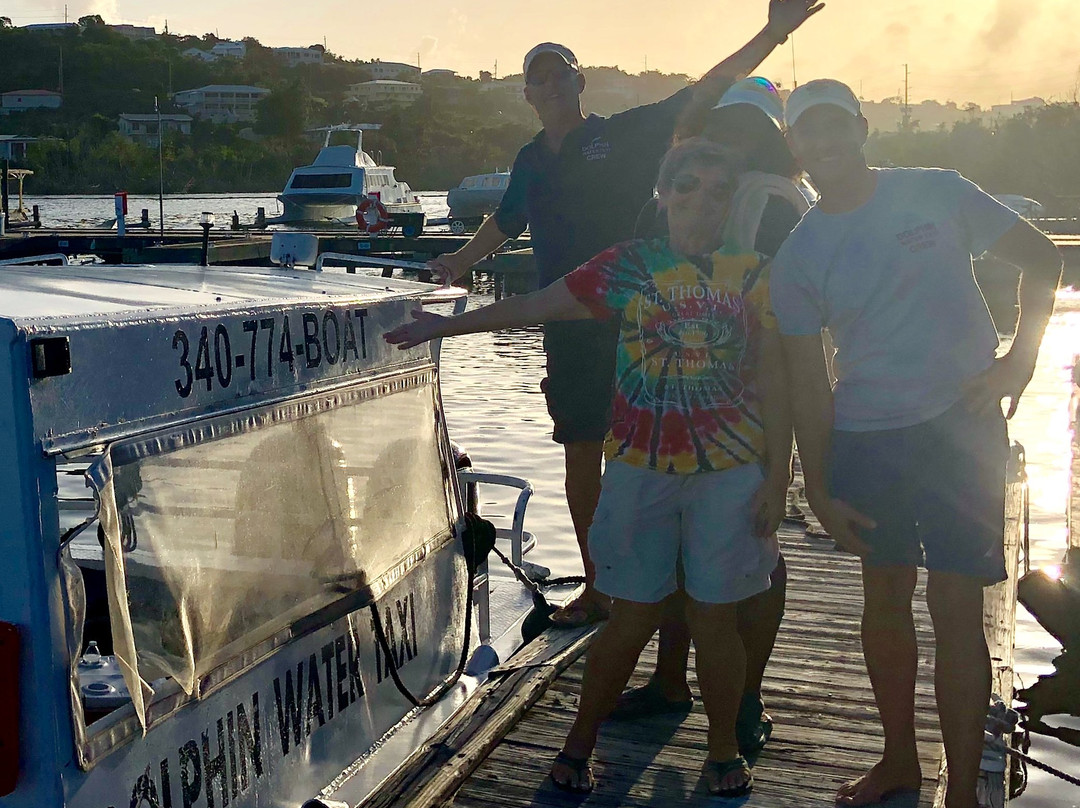 Dolphin Water Taxi-圣 托马斯必去景点