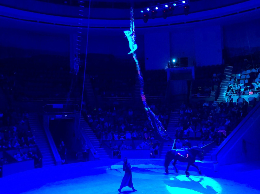 Sochi State Circus-索契必去景点