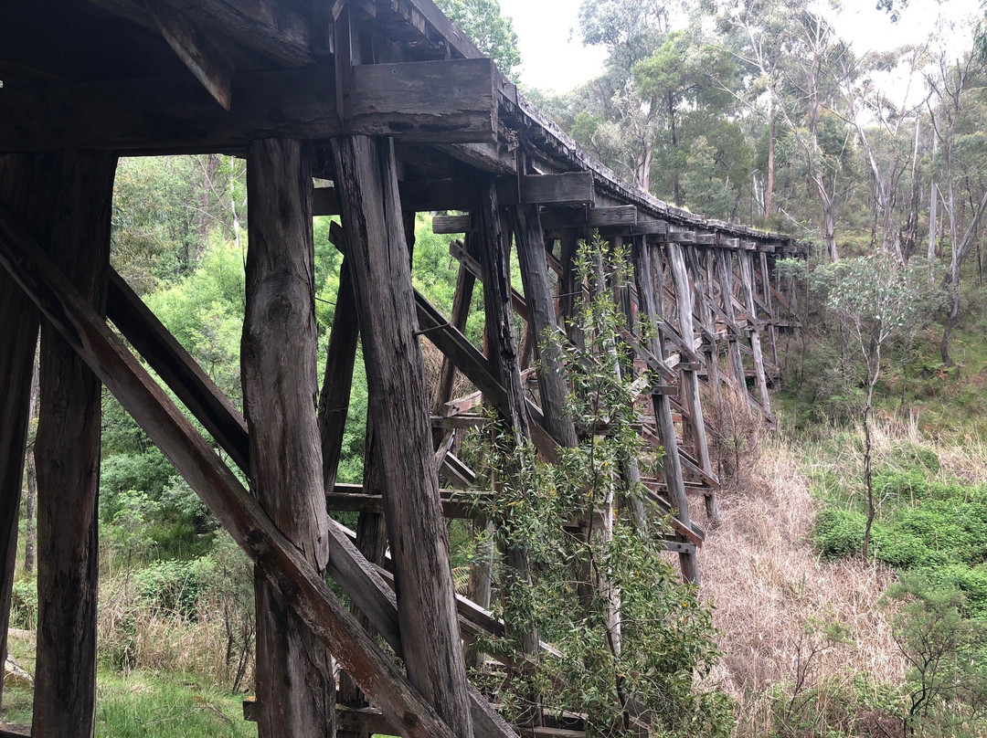 Koetong Trestle Bridge-Koetong必去景点