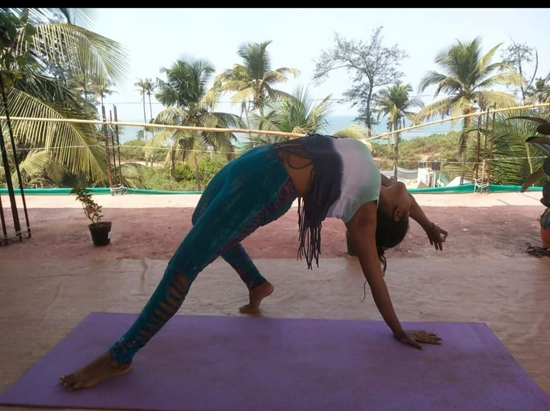 Shuddh Yoga And Wellness Retreat景点图片