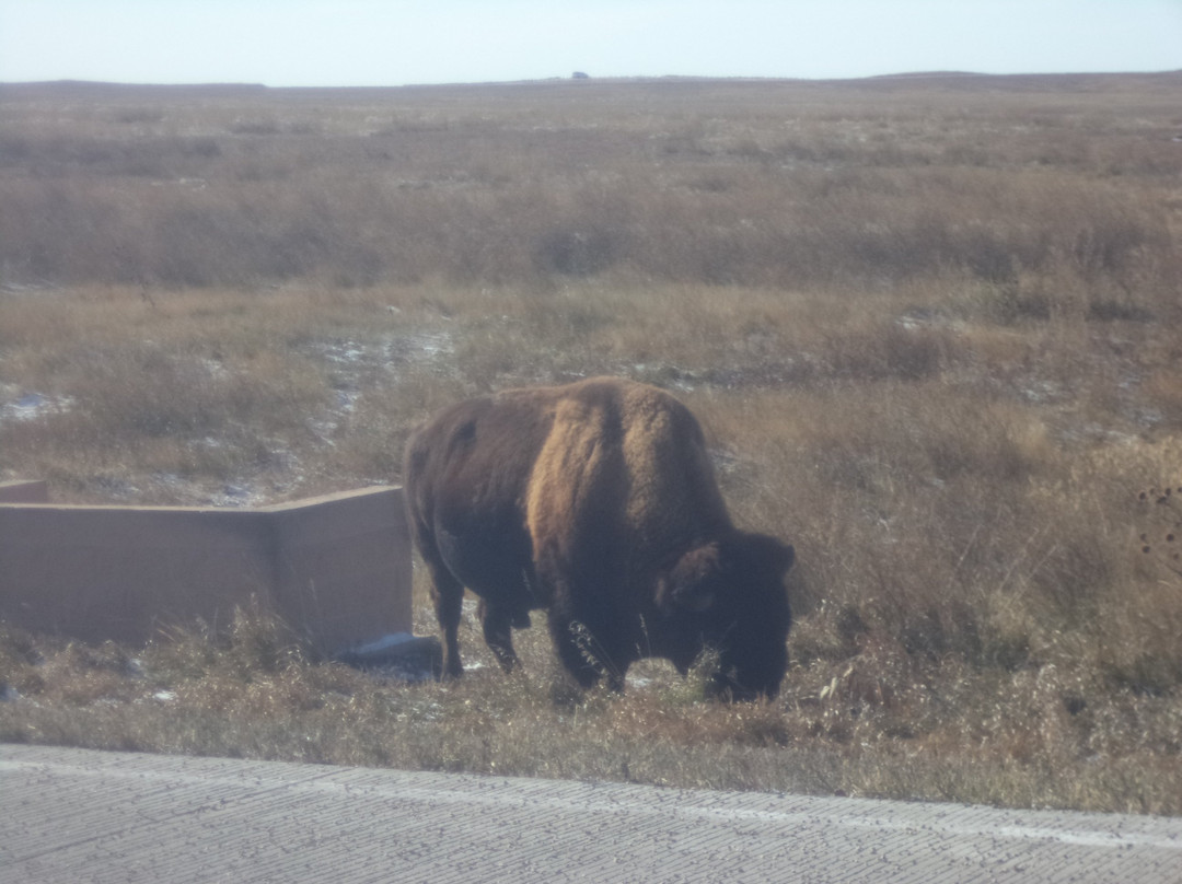 Badlands National Park景点图片