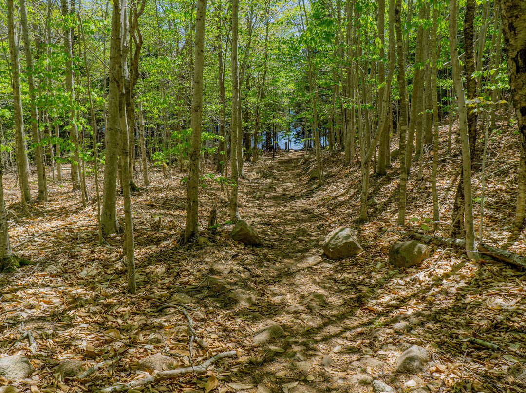 Penobscot Mountain Trail景点图片