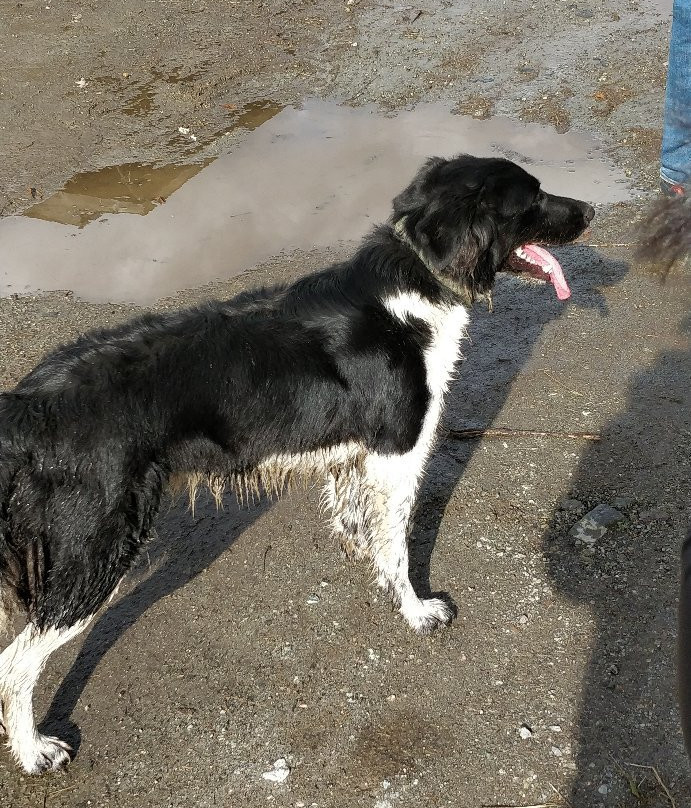 Adventure on Horseback-Pemberton必去景点