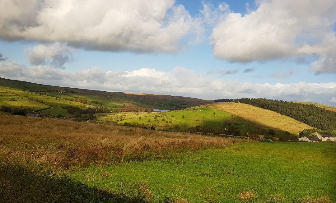 Pendle Witch Experience Tours景点图片