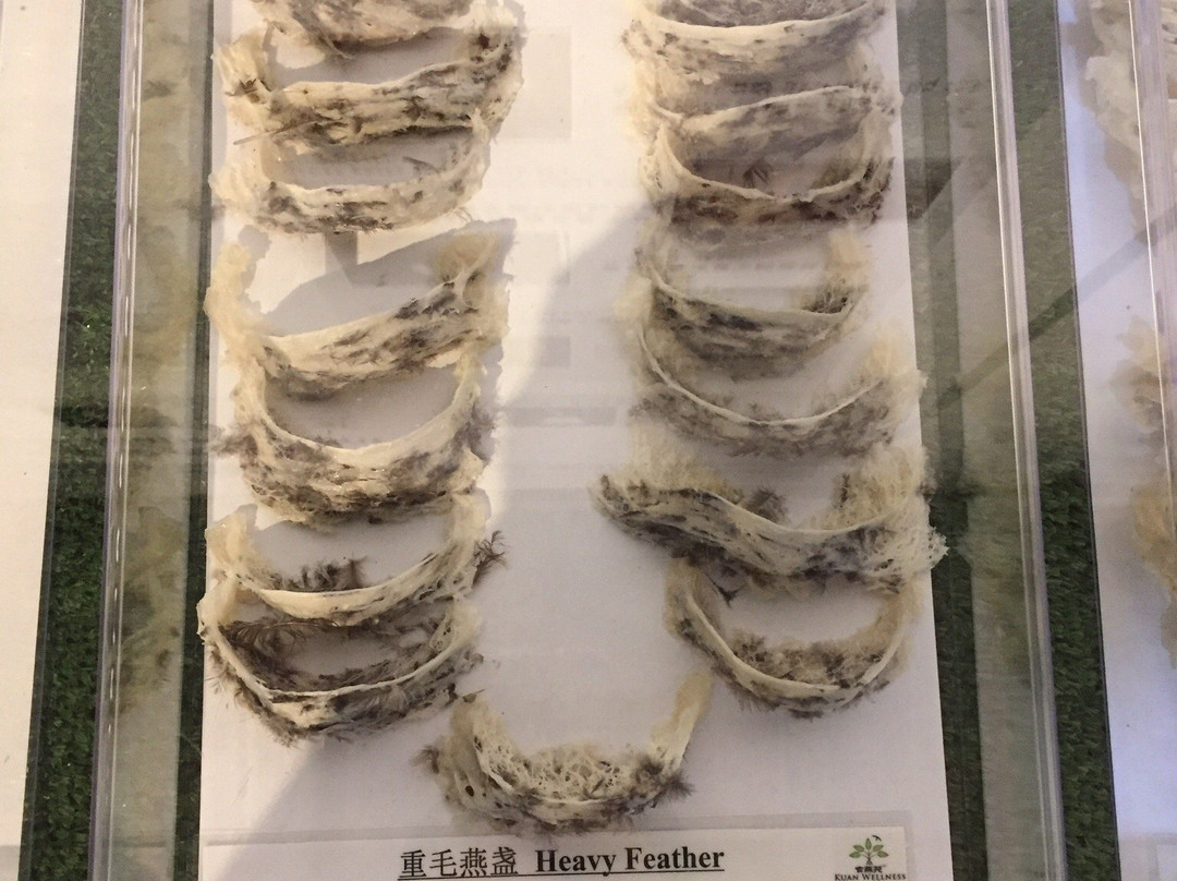 Kuan Wellness Ecopark-丹绒士拔必去景点