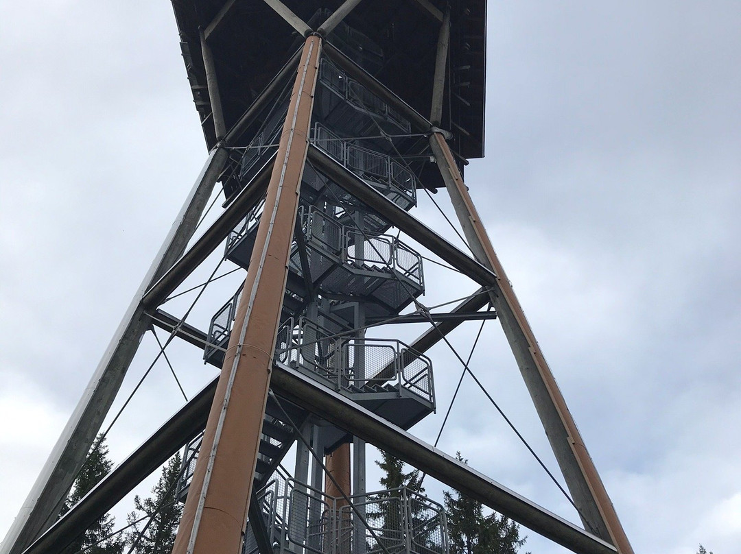 Riesenbühlturm in Schluchsee景点图片